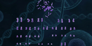 Кариотип — ваш генетический портрет