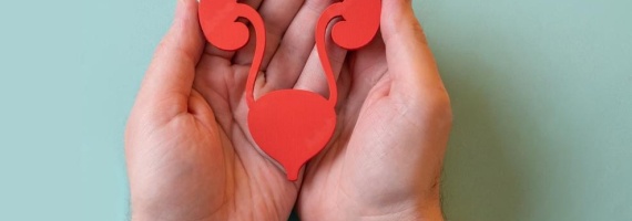 Прием уролога + УЗИ