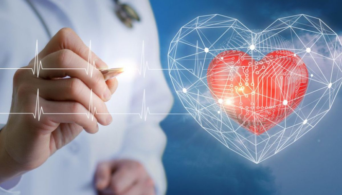 Акция «Здоровое сердце: прием кардиолога КМН, ЭКГ+ЭХО»