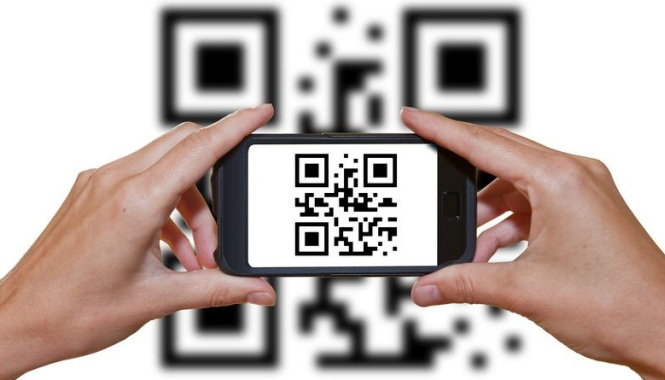 Валидация результатов анализов по QR-коду