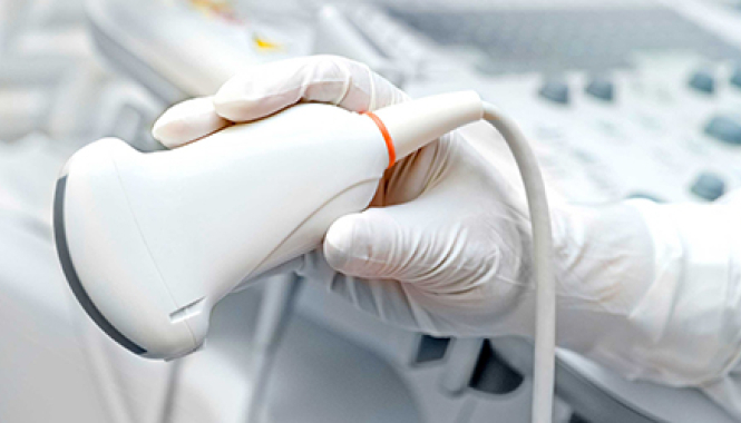 Ультразвуковые исследования (УЗИ) в клиниках МедЛаб Санкт-Петербург