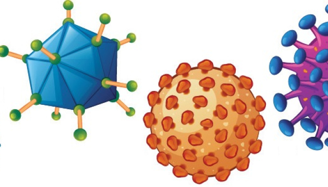 Инфекции (вирусные, бактериальные и пр.)
