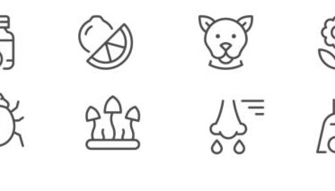 Аллергология