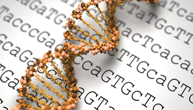 Генодиагностика