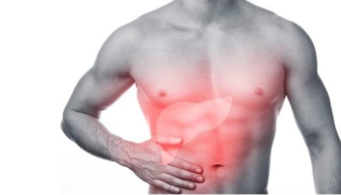 Эластография с эластометрией сдвиговой волной печени