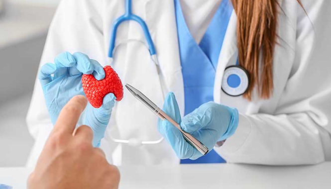 Знакомство с новым врачом-эндокринологом в МедЛаб Комендантский