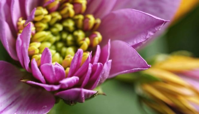 Поздравляем с 8 марта!