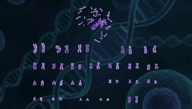 Кариотип — ваш генетический портрет