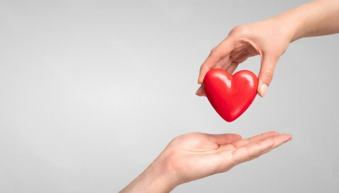 Прием кардиолога + ЭКГ