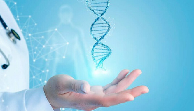 Генетический паспорт