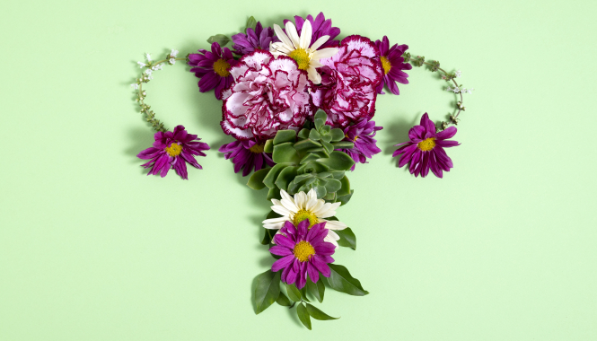 Гистеросонография в МедЛаб Купчино