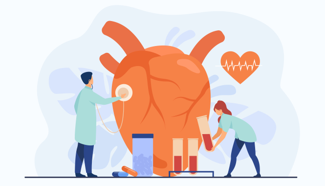 Акция «Консультация кардиолога + ЭКГ» в МедЛаб Озерки