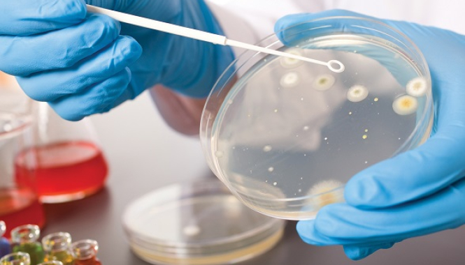 Диагностика и лечение ИППП