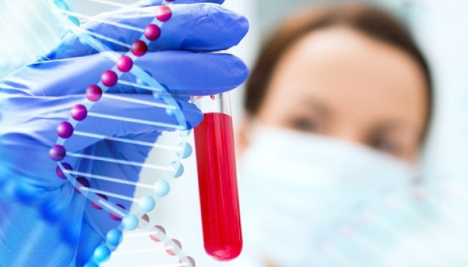 Результат генетического тестирования