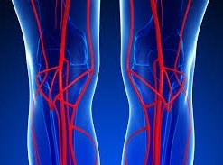 duplex-arterial.jpg duplex-arterial.jpg